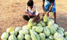 吃瓜网51爆料九台,揭秘娱乐圈背后的惊人内幕